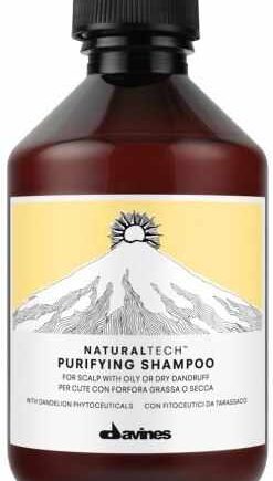 Davines Naturaltech Purifying Shampoo 250 - Davines Shampoo  - 8004608236580