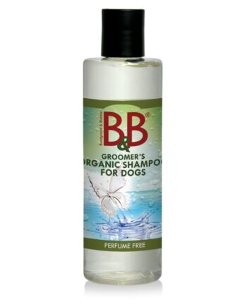 Amp Neutral Shampoo - Shampoo  - 5711746004072