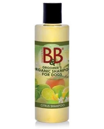 Amp Shampoo Citrus 250 - B & B Shampoo  - 5711746001088