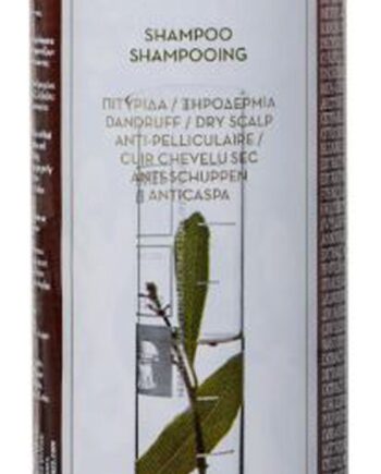 Korres Shampoo Laurel And Echinacea Against Dandruff & Dry Scalp 250ml - Shampoo  - 5203069019722