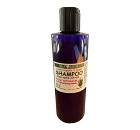 Macurth Shampoo Aloe Vera Citrus Ampbull 250ml - Macurth Shampoo  - 5707373100058