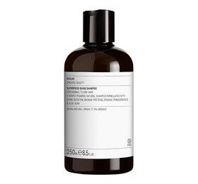 Evolve Shampoo Superfood Shine 250 - Evolve Shampoo  - 5060200048191