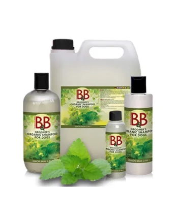 Amp Shampoo 2i1 Melisse 250 - B & B Shampoo  - 5711746003082