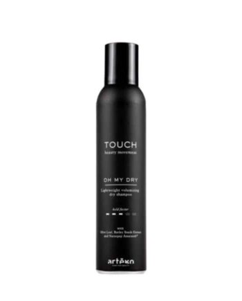 Artego Touch Dry Dry Shampoo 250ml - Iloveshampoo Shampoo  - 8056157872511