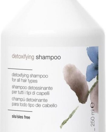Simply Zen Detoxifying Shampoo 250 - Simply Zen Shampoo  - 8032274063247
