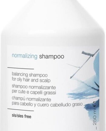 Simply Zen Normalizing Shampoo 250 - Simply Zen Shampoo  - 8032274063094